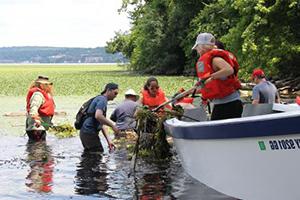 Students and Professor 肖恩·罗杰斯 doing research in the water with Beacon Institute. 